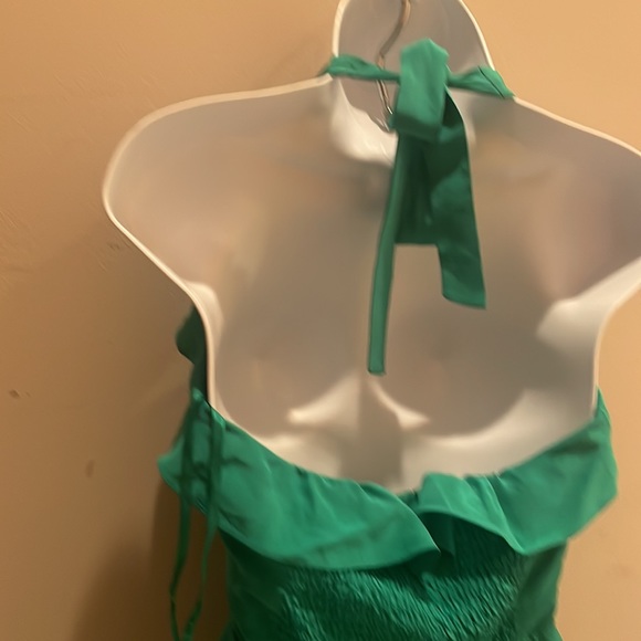 Bcbg maxazria 100 percent silk halter top - Picture 4 of 5